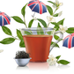 Dolce Gusto Thé noir,english Breakfast tea: capsule Special T